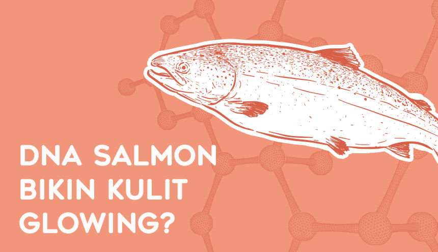 DNA Salmon